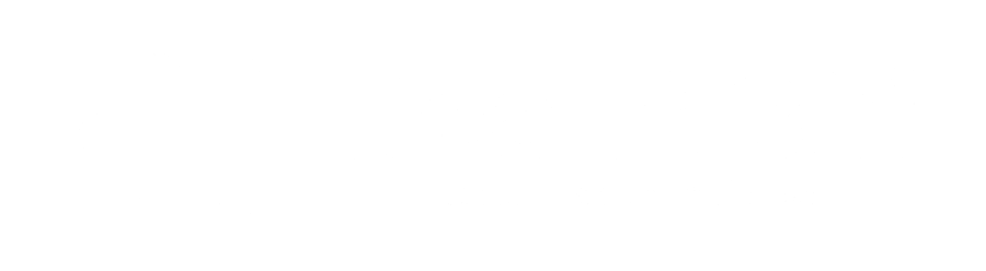 HealthBhi footer logo